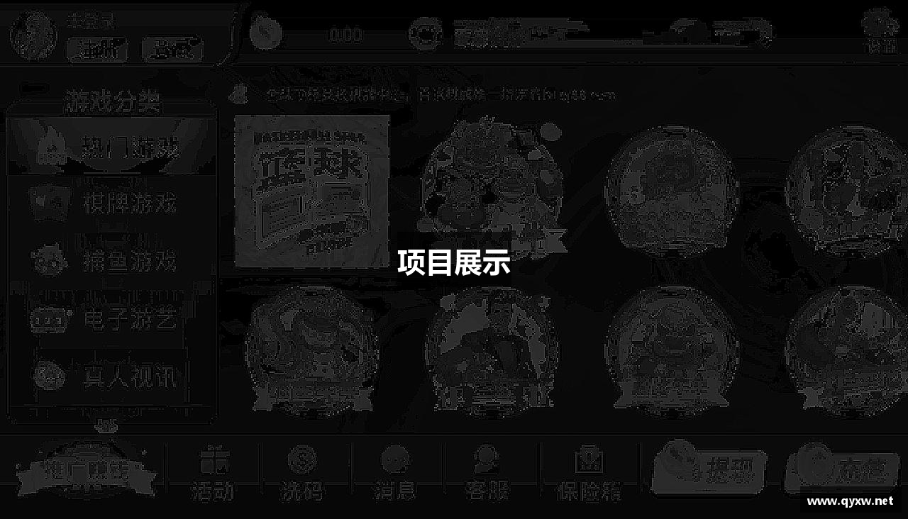项目展示